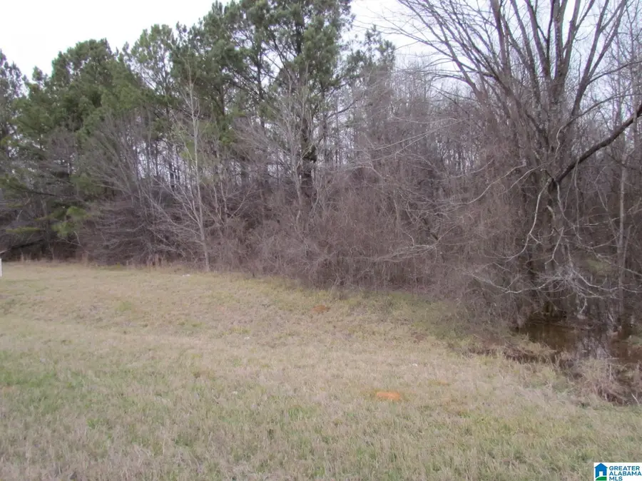 0 HIGHWAY 280, Harpersville, AL 35078 - Image #2