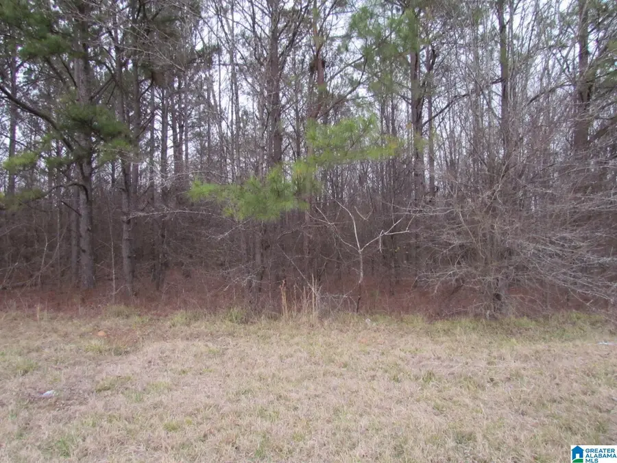 0 HIGHWAY 280, Harpersville, AL 35078 - Image #3