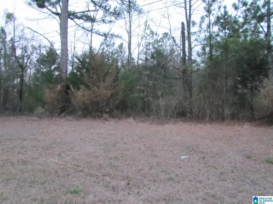 00 HIGHWAY 87, Alabaster Helena, AL 35040 - Image #2