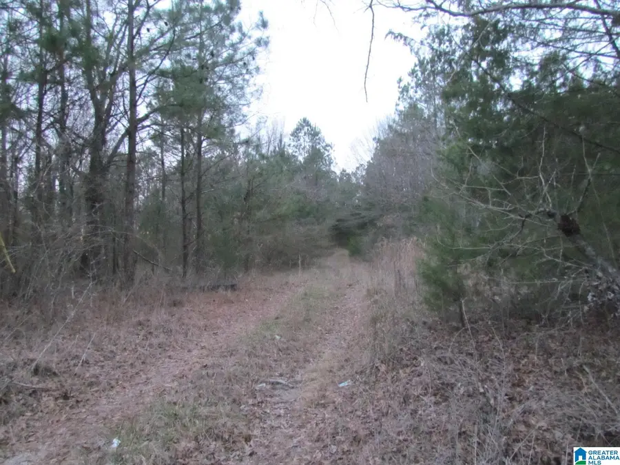 00 HIGHWAY 87, Alabaster Helena, AL 35040 - Image #3