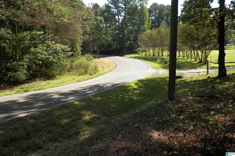 9138 THERMAL ROAD, Warrior, AL 35180 - Image #3