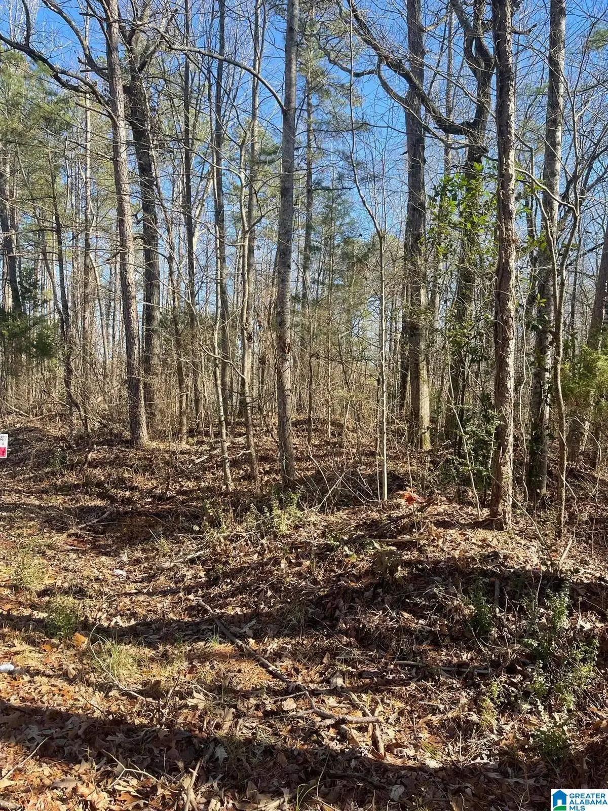 1057 FORESTDALE BOULEVARD, Birmingham, AL 35214 - #1