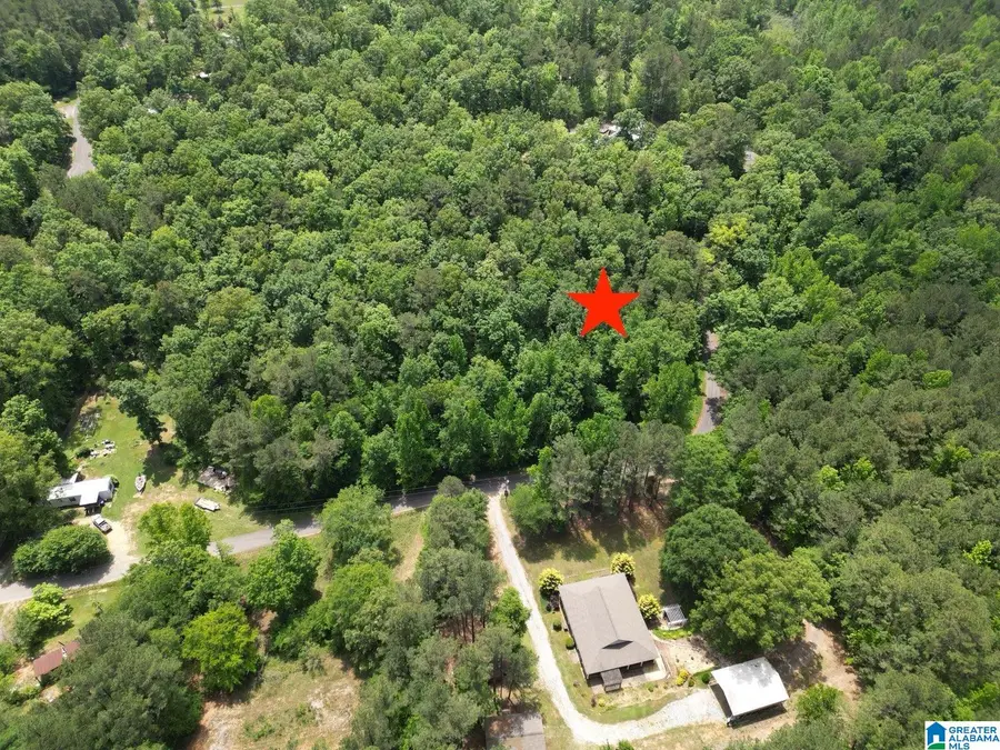45 COOSA VIEW LANE, Riverside, AL 35135 - Image #2