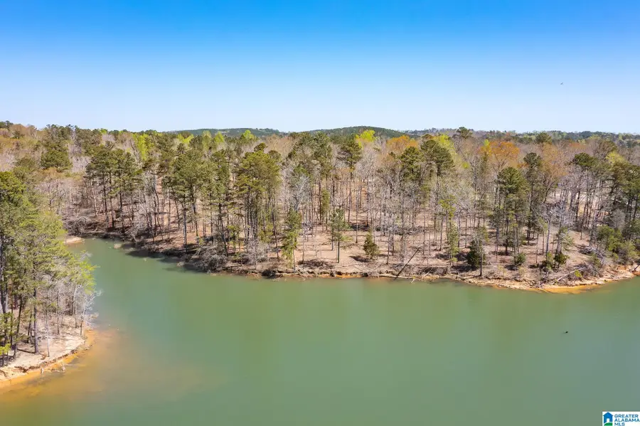 COUNTY ROAD 61, Houston, AL 35572 - Image #3