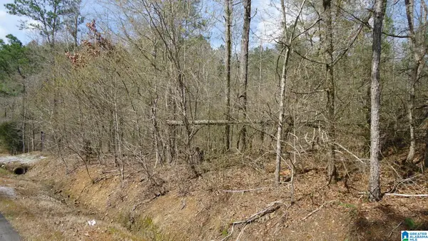 551 GRAYTON ROAD S, Ohatchee, AL 36206