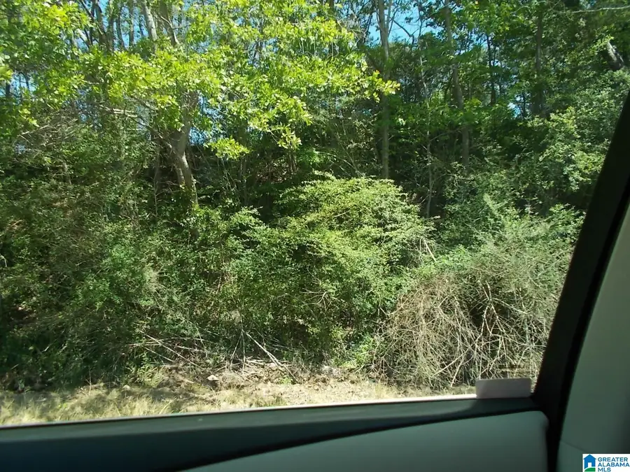 71 SWINDLE DRIVE, Adamsville, AL 35005 - Image #2