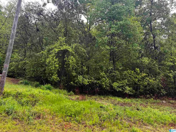 Lot 6 CASON LANE, Cropwell, AL 35054