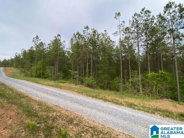 HAVEN DRIVE, Columbiana, AL 35051 - #2