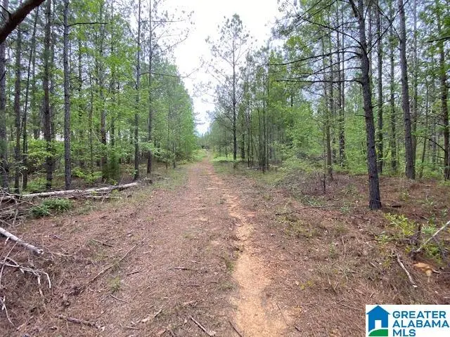 HAVEN DRIVE, Columbiana, AL 35051 - #3