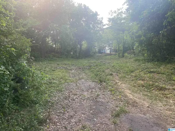 3124 TIMBERLAKE ROAD, Vestavia hills, AL 35243