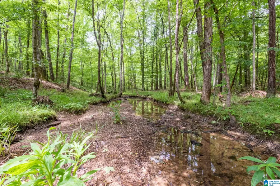 00 HIGHWAY 26, Alabaster Helena, AL 35007 - Image #2