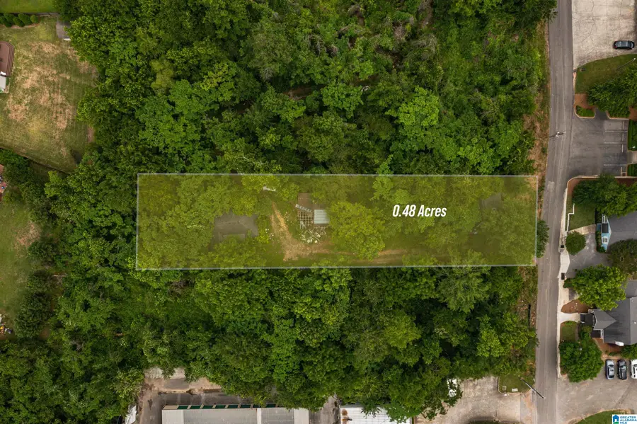 3130 BELLWOOD DRIVE, Vestavia Hills, AL 35243 - Image #3