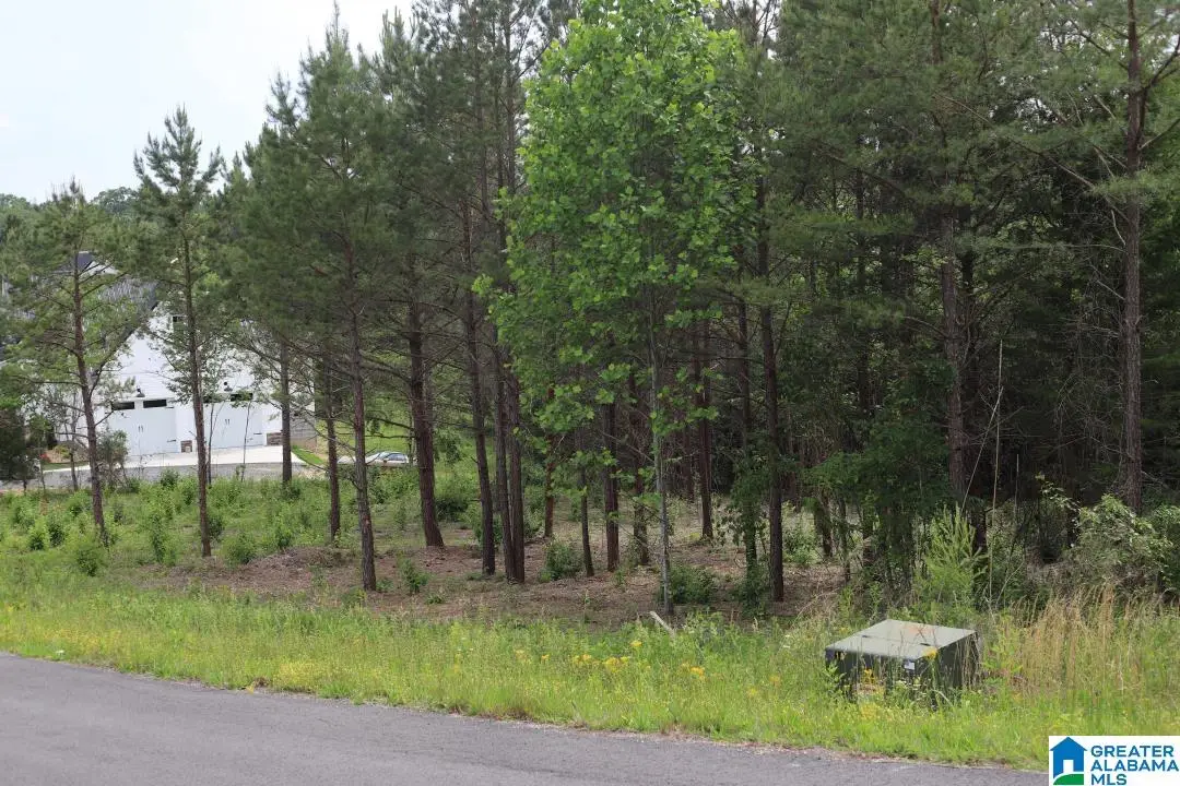 0 HILLSIDE DRIVE, Fort Payne, AL 35968 - Image #1