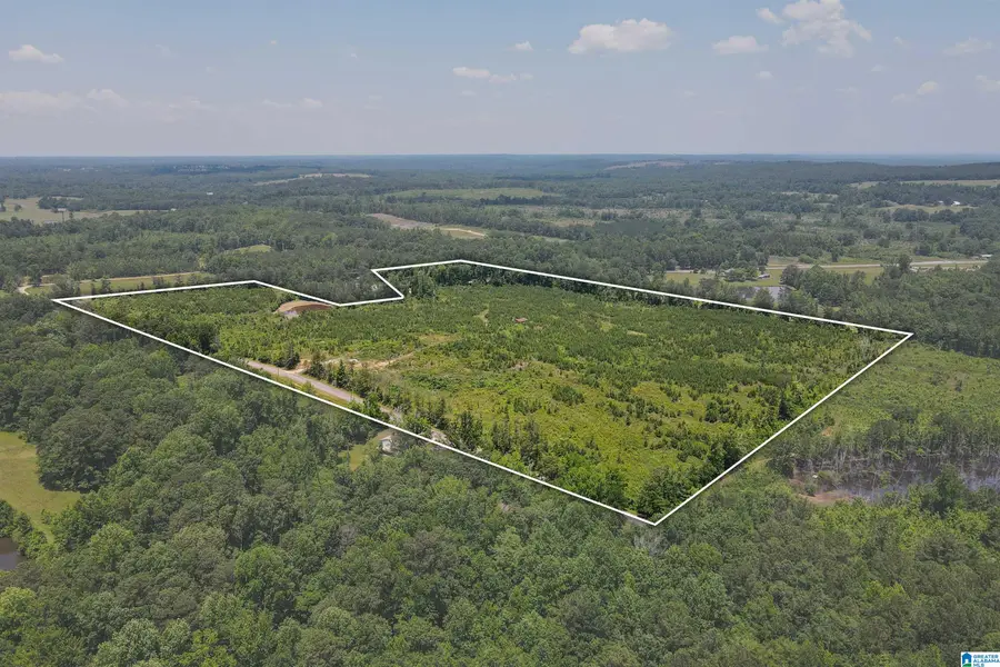 0 HIGHWAY 145, Clanton, AL 35046 - Image #2