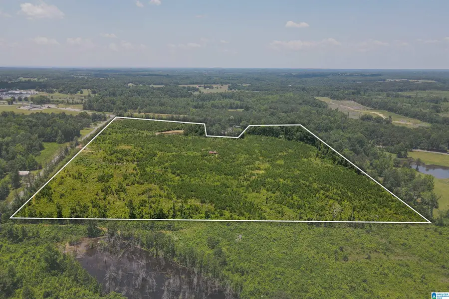 0 HIGHWAY 145, Clanton, AL 35046 - Image #3