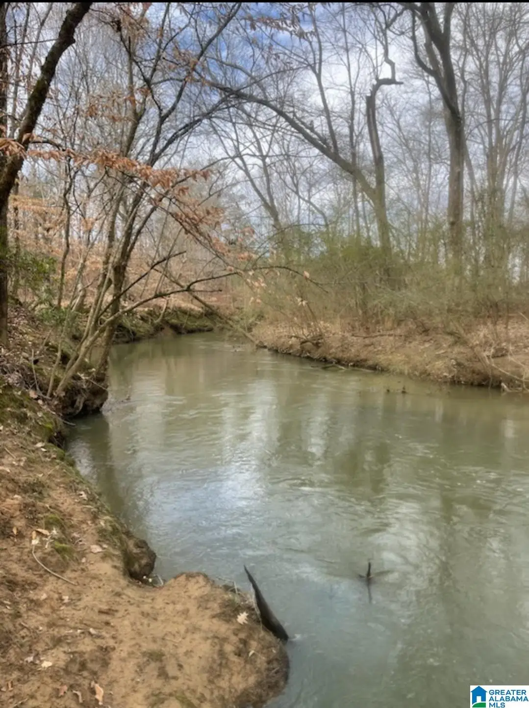 0 BAILEY SPRINGS ROAD, Ohatchee, AL 36271 - Image #1