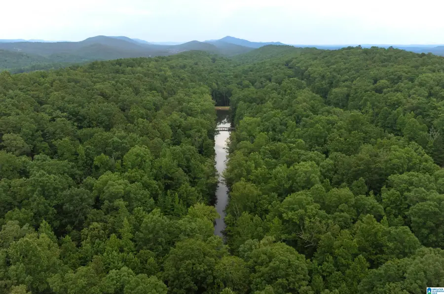 5048 TWO MOUNTAIN PARKWAY, Chelsea, AL 35043 - Image #2