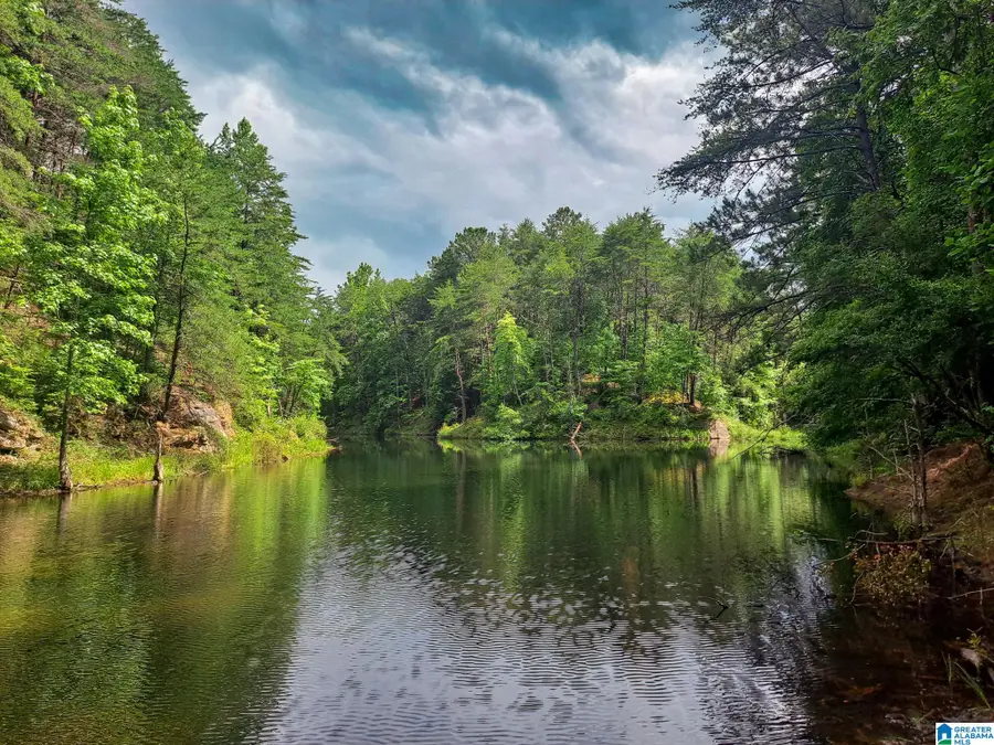 808 FULTON HILL ROAD, Oakman, AL 35579 - Image #2