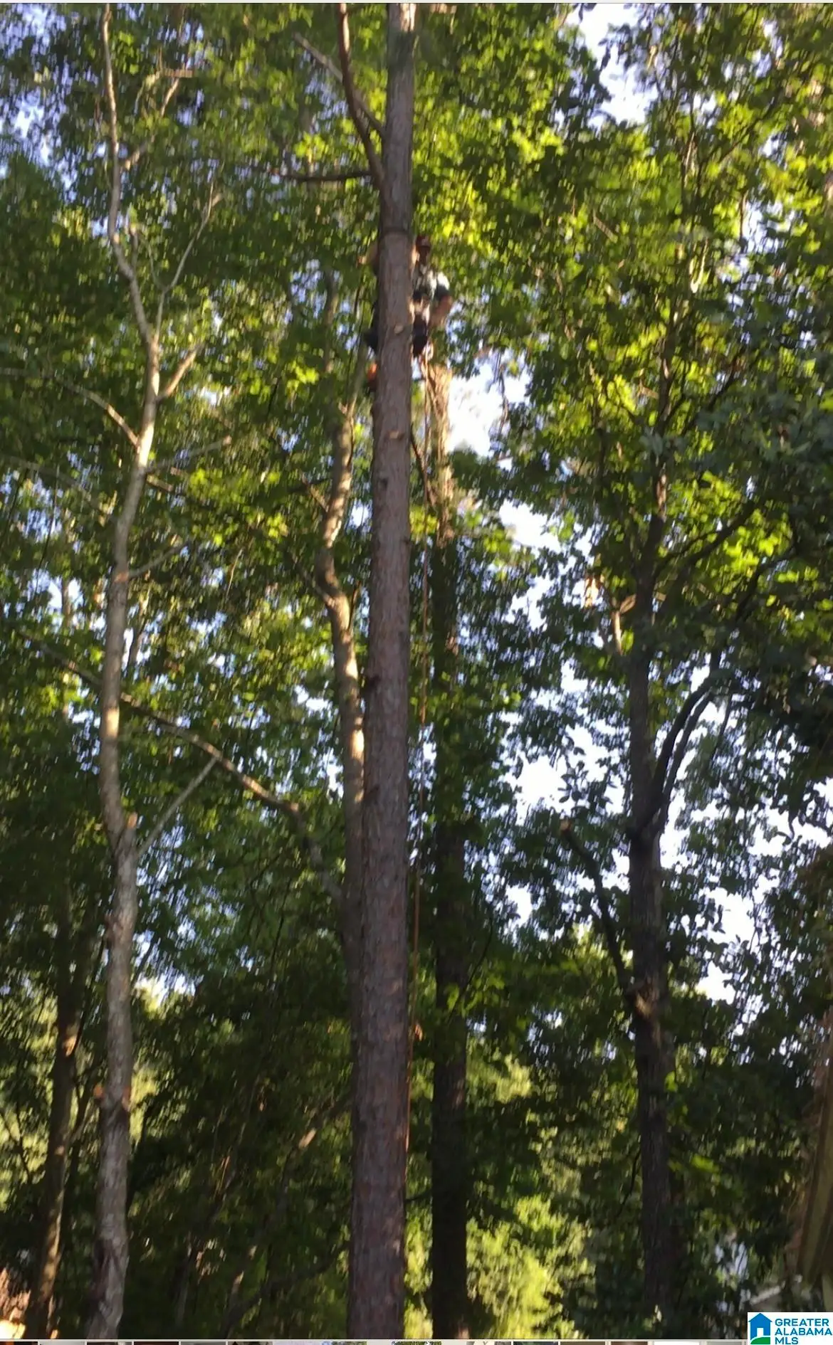 00 LAKEVIEW PT, Riverside, AL 35135 - Image #1