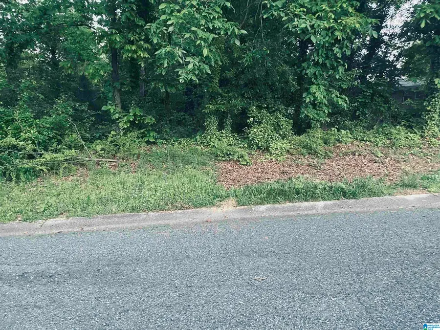 754 GRAMOR DRIVE, Bessemer, AL 35022 - Image #2