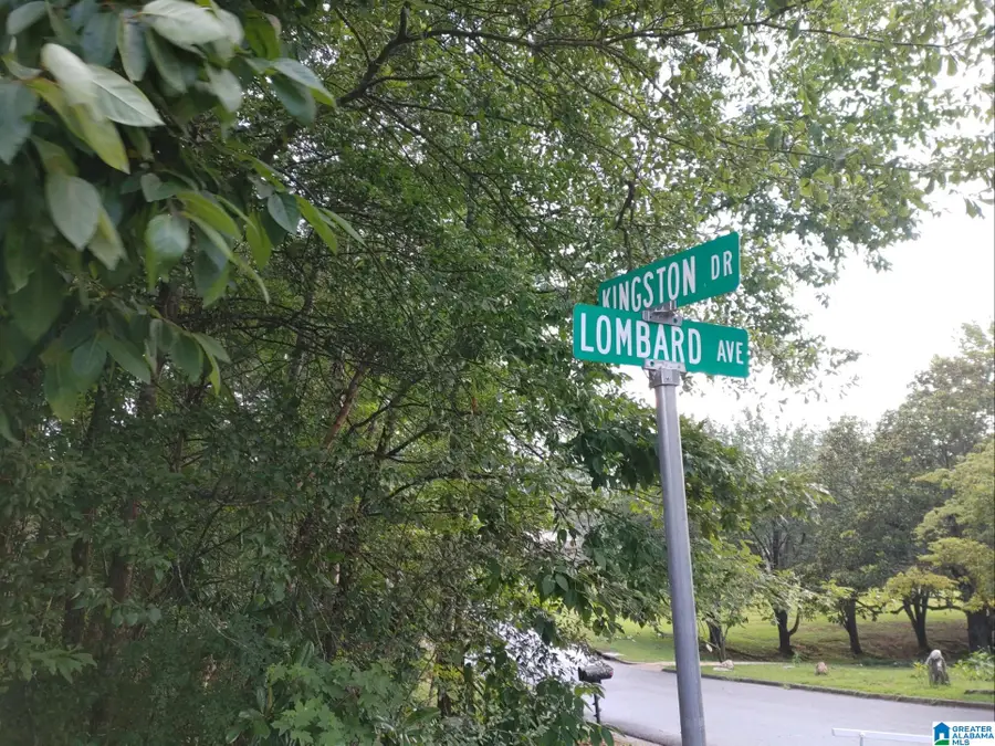 00 KINGSTON DRIVE, Sylacauga, AL 35151 - Image #2