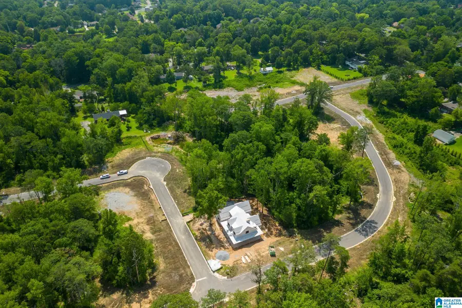 3325 CHANDLER WAY, Hoover, AL 35226 - Image #3