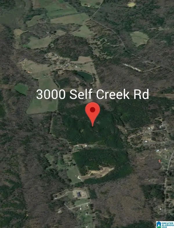 3000 SELF CREEK ROAD, Warrior, AL 35180