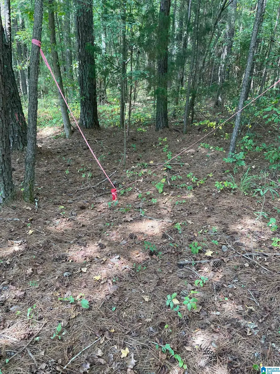 3000 SELF CREEK ROAD, Warrior, AL 35180 - Image #2