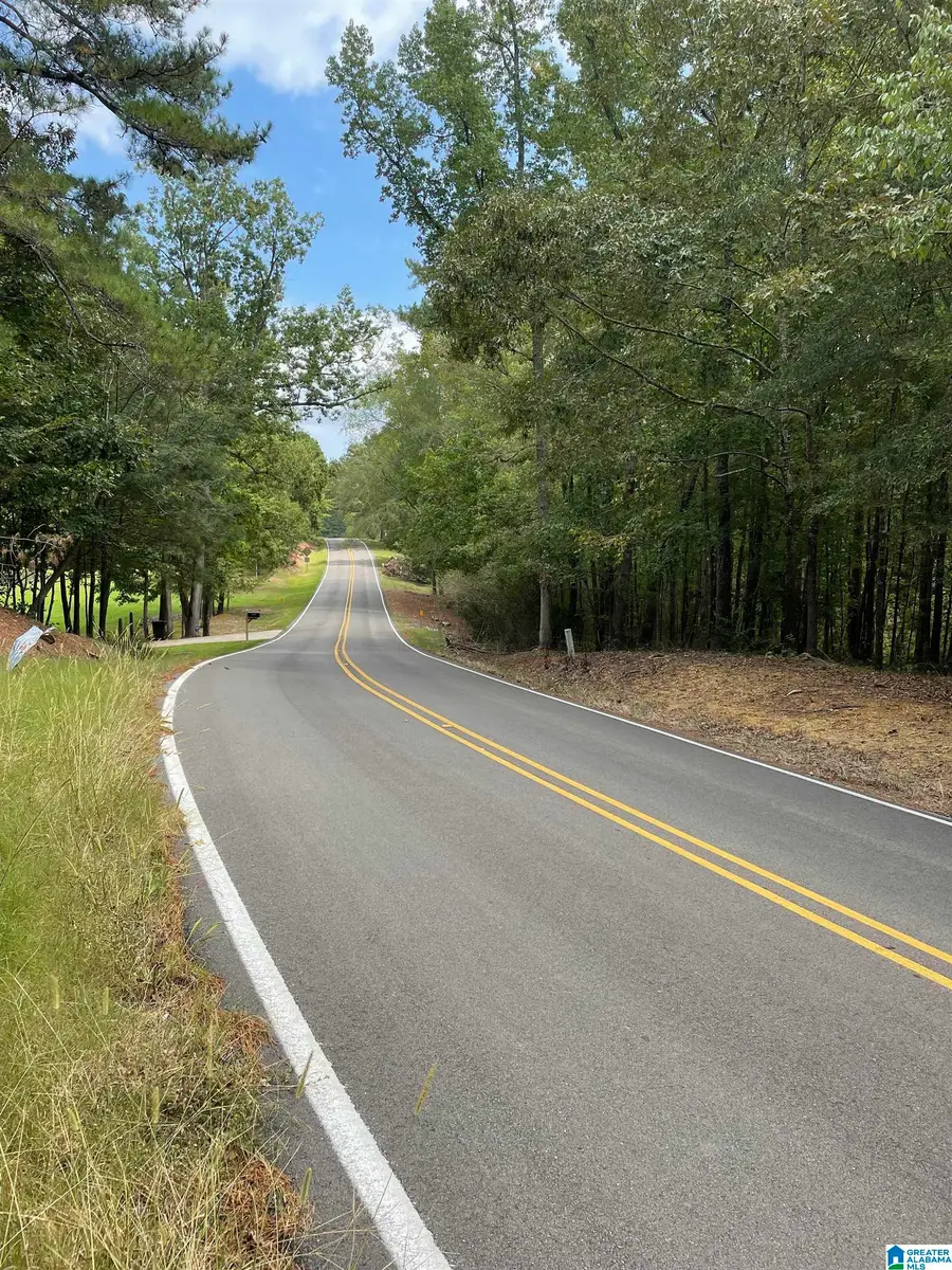 3000 SELF CREEK ROAD, Warrior, AL 35180 - Image #3