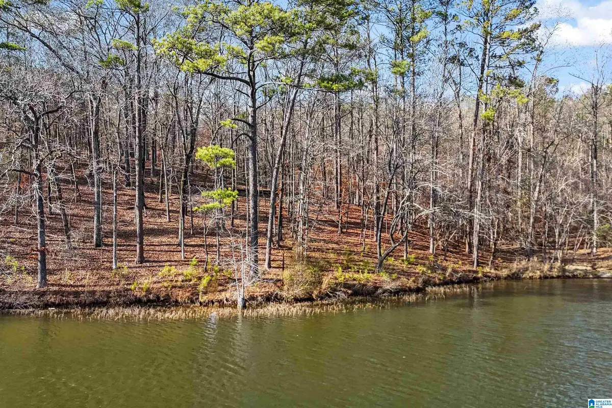 Lot 5 BIG Y COVE LOOP, Rockford, AL 35136 - Image #1