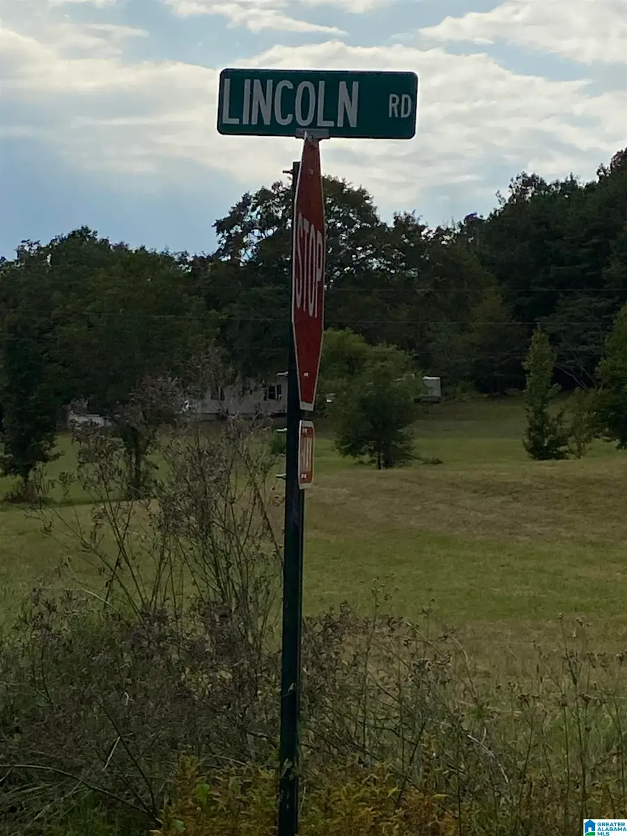 LINCOLN ROAD, Cleveland, AL 35049 - Image #3