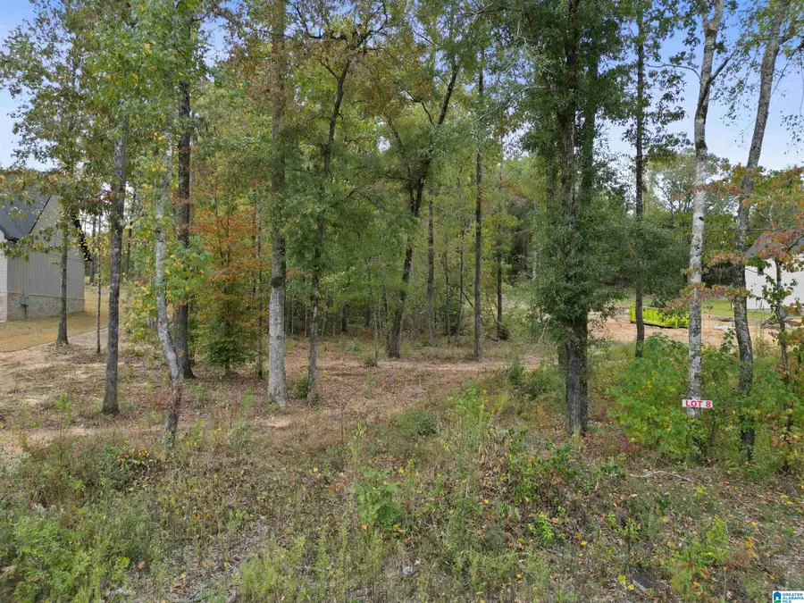8 HOLLY ROAD, Northport, AL 35475 - Image #3