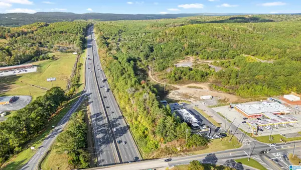 311 CAIN CREEK LANE, Warrior, AL 35180