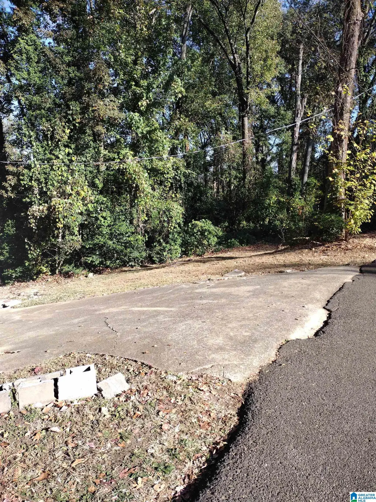 7303 S 5TH AVENUE, Birmingham, AL 35206 - Image #1