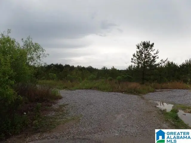 0 WATERFORD TRAIL, Calera, AL 35040 - Image #2