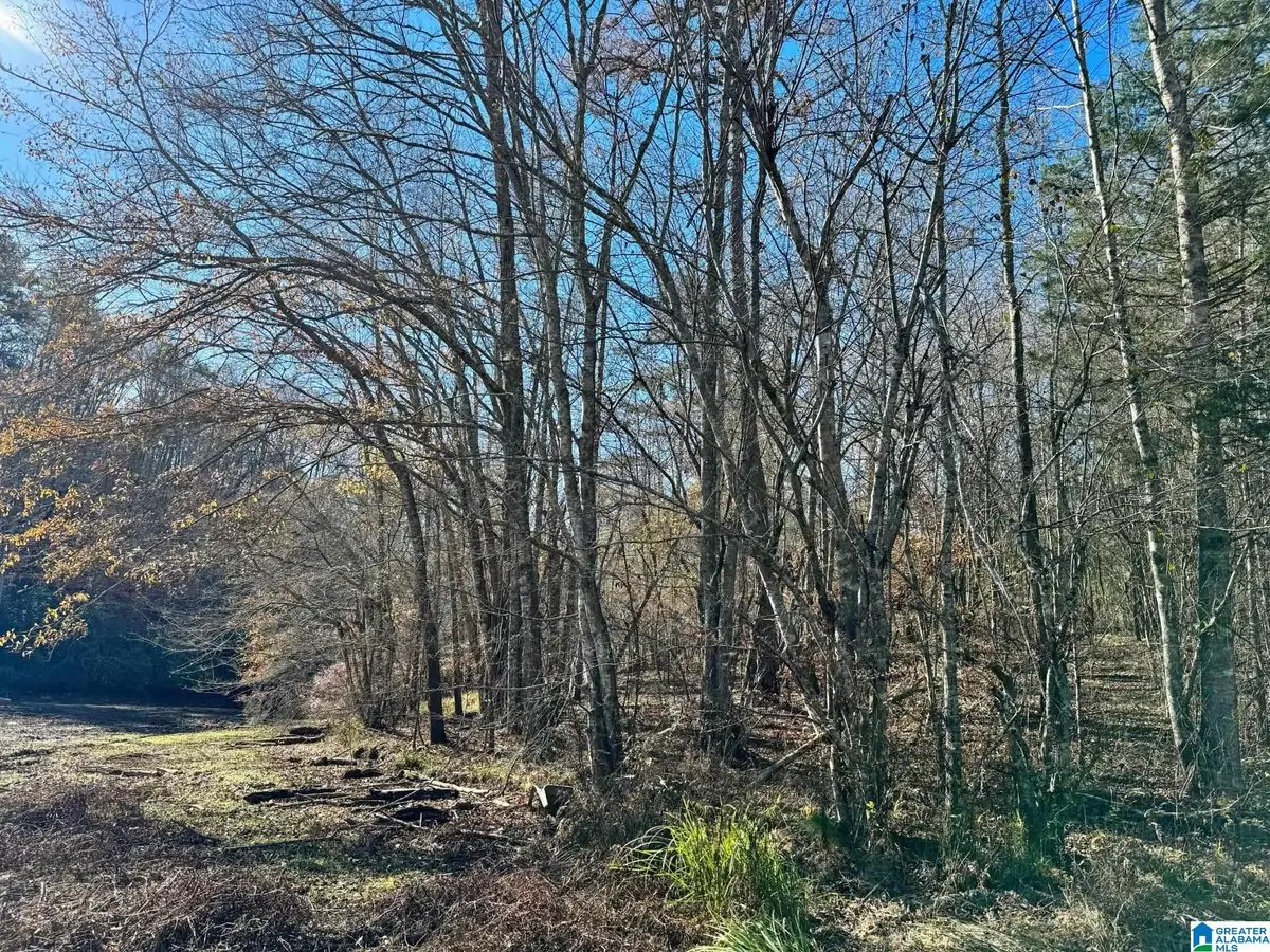 COUNTY ROAD 7, Wedowee, AL 36278 - Image #1