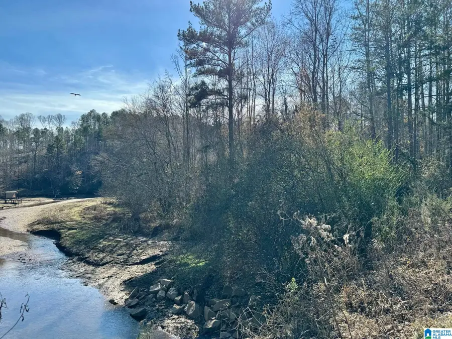 COUNTY ROAD 7, Wedowee, AL 36278 - Image #2