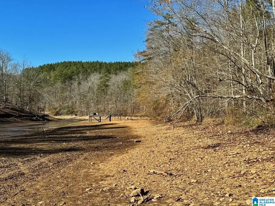 COUNTY ROAD 7, Wedowee, AL 36278 - Image #3