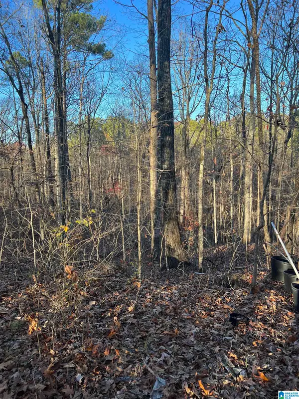 28236 HIGHWAY 31, Jemison, AL 35085