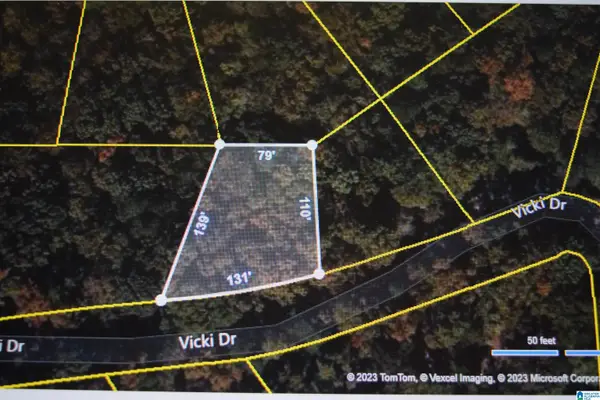 000 VICKIE DRIVE, Lakeview, AL 35111