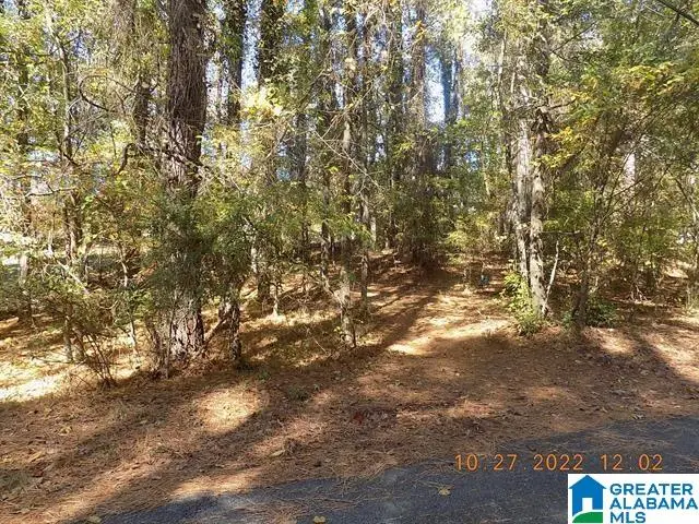 000 BUTTER & EGG ROAD, Columbiana, AL 35051 - #1