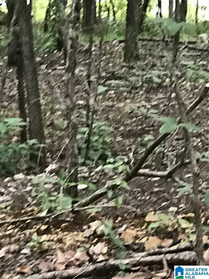 BAY POINTE DRIVE, Alpine, AL 35014 - Image #1