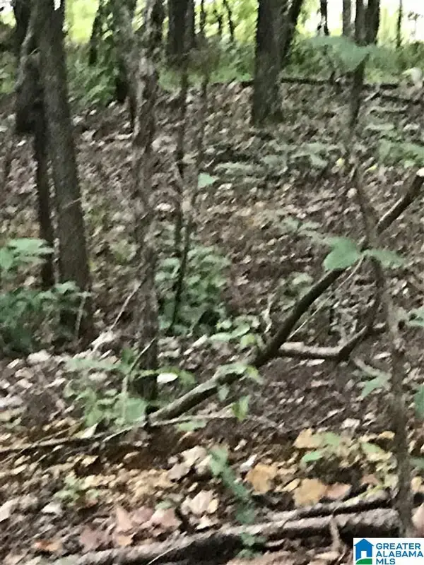 BAY POINTE DRIVE, Alpine, AL 35014