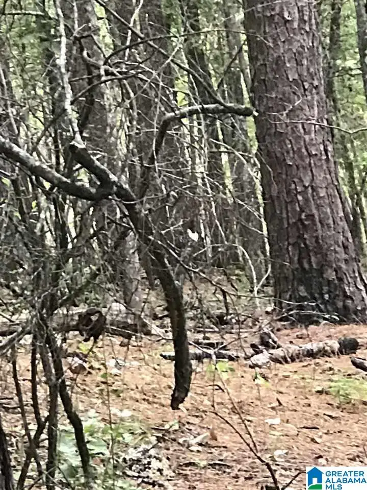 CONSTELLATION DRIVE, Alpine, AL 35014 - Image #1