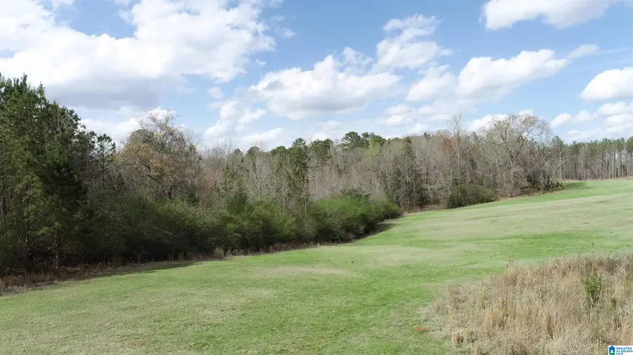 0 HIGHWAY 431, Wedowee, AL 36278 - #3