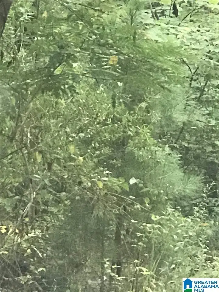 POLARIS CIRCLE, Alpine, AL 35014 - Image #2