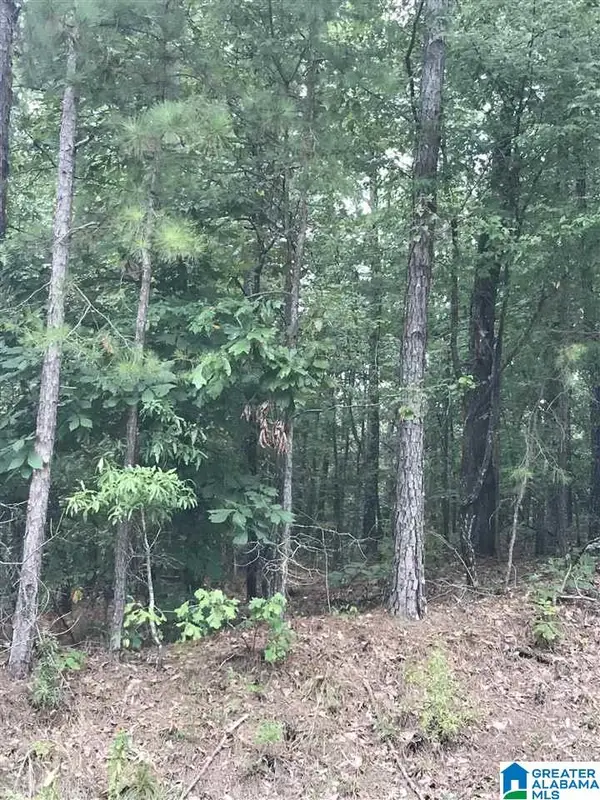 0 AQUARIUS DRIVE, Alpine, AL 35014