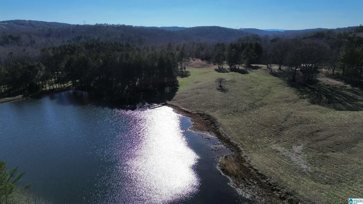 46088 HIGHWAY 77, Ashland, AL 36251 - Image #1