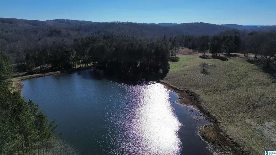 46088 HIGHWAY 77, Ashland, AL 36251 - Image #2