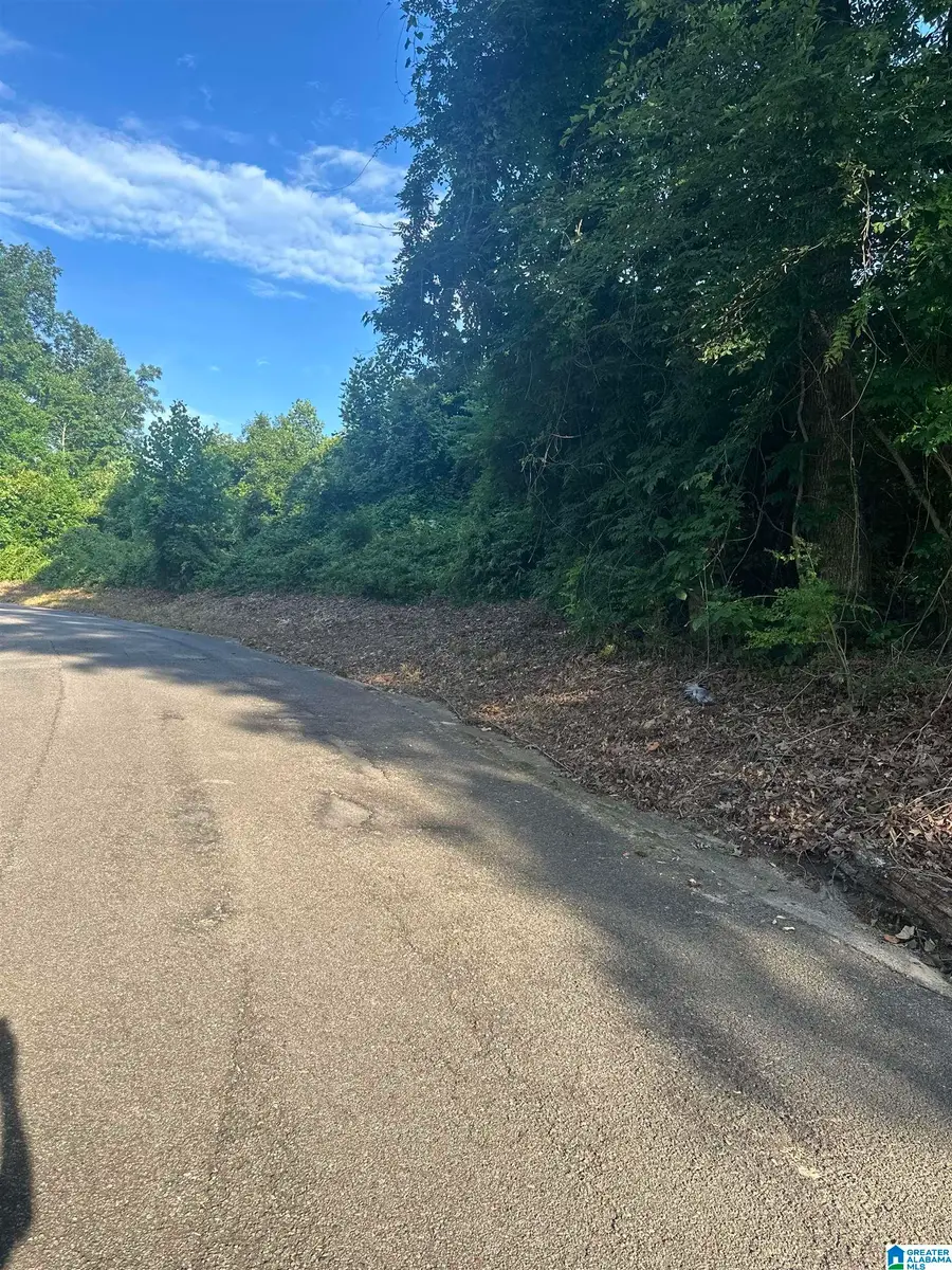 319 CHEROKEE DRIVE, Trussville, AL 35173 - Image #3